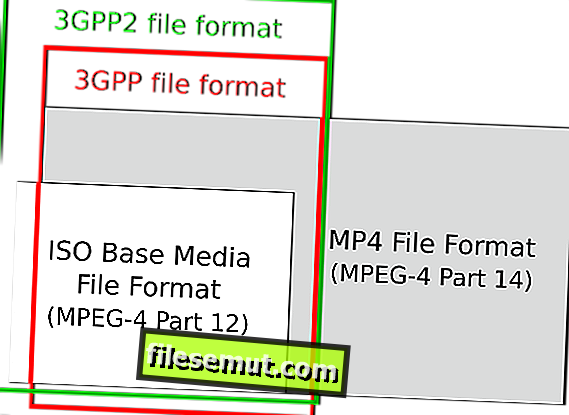 . Extensia fișierului .MPEG4
