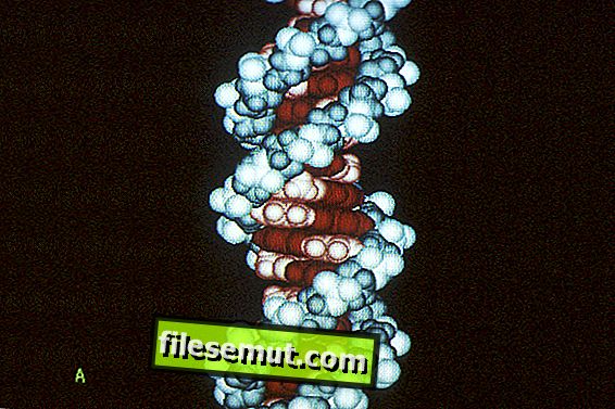 .DNA File Extension